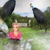 digital artwork, send your photo, placement in birds witches scene with model
