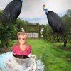 digital artwork, send your photo, placement in birds witch house tea cup scene with model