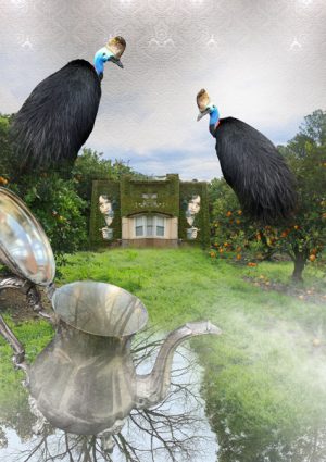 digital artwork, send your photo, placement in birds witches house teapot scene